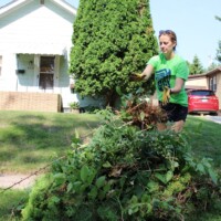 A volunteer throws weeds into a pile of branches and other material from yard work. The pile is to her waist.